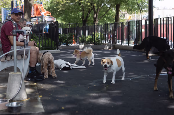Berry Lane Park Dog Run photo 2
